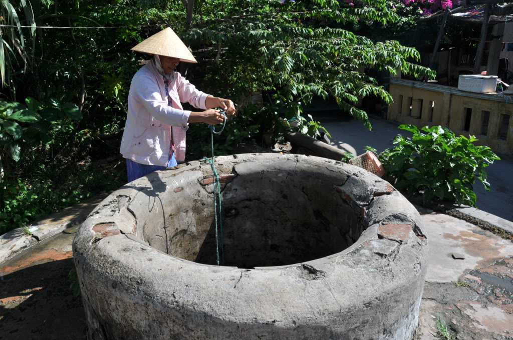 Cù Lao Chàm 1 ngày - Đón Cảng Cửa Đại