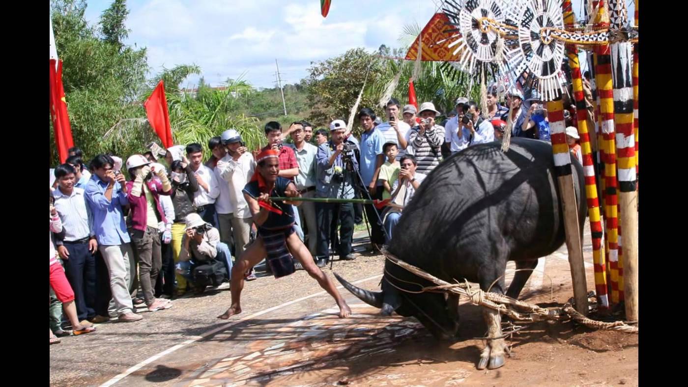 Nha Trang - Đà Lạt - Thành Phố Hoa Biển 5 Ngày 4 Đêm 