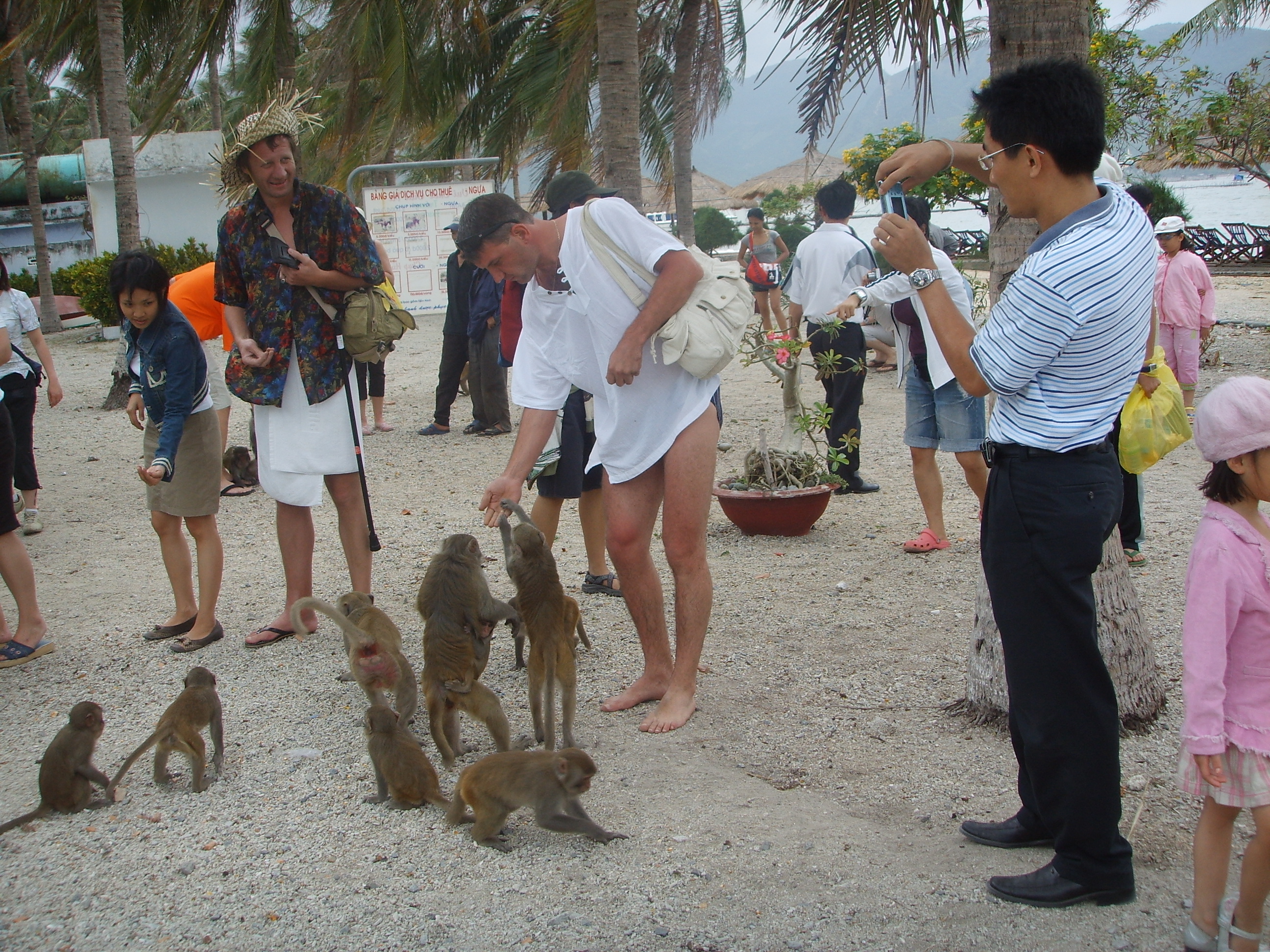 Nha Trang - Đà Lạt - Thành Phố Hoa Biển 5 Ngày 4 Đêm 